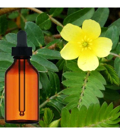 Terrestris Tribulus Liquid Extract 