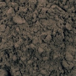 Trifala Extract 20%