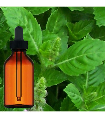 Tulsi Leaves Tincture