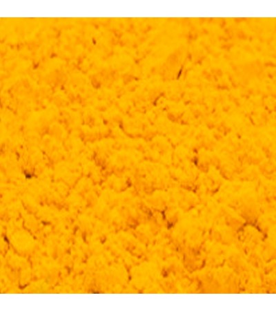 Turmeric Root P.E. 4:1