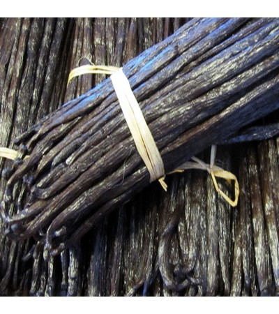 Vanilla Bean Fragrance Oil