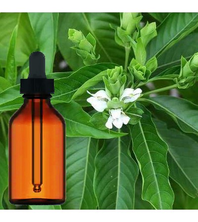 Justicia Adhatoda Tincture