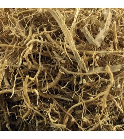 CUSCUS GRASS (KHUSS) SEE VETIVER ROOT 
