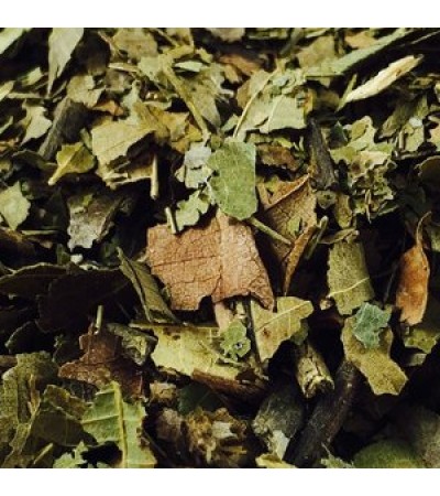 BLACK WALNUT LEAVES C/S