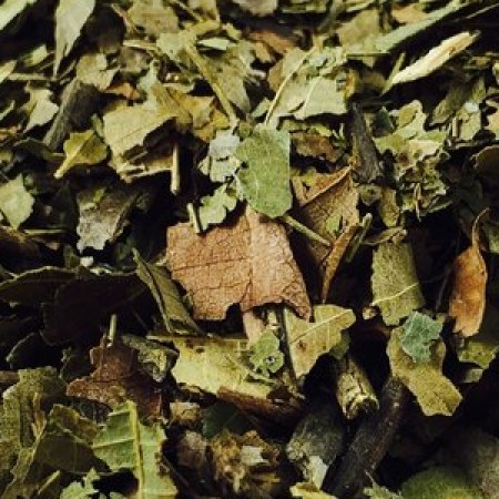 BLACK WALNUT LEAVES C/S