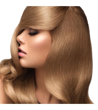 Hydrolyzed Wheat Protein 