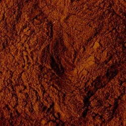 PINE BARK EXTRACT 95% POWDER