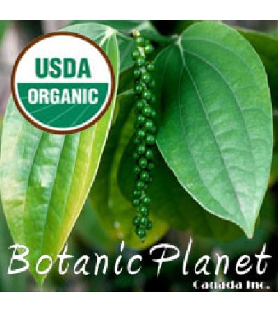 Pepper Black Essential Oil (ORGANIC)