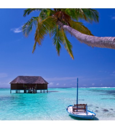 Beach house Fragrance Oil