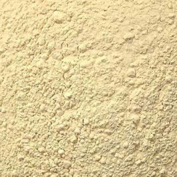GARLIC POWDER