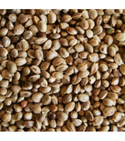 HEMP SEED WHOLE