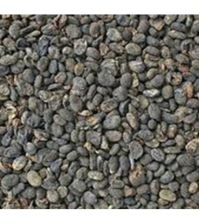 BABCHI PSORALEA SEED 