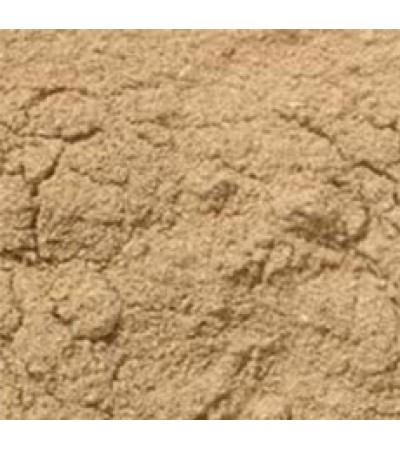 PSYLLIUM SEED BLONDE POWDER
