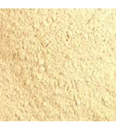 SHIITAKE MUSHROOMS POWDER