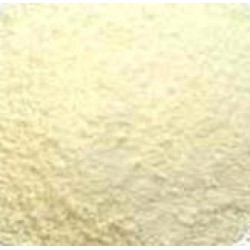 SANGARA POWDER