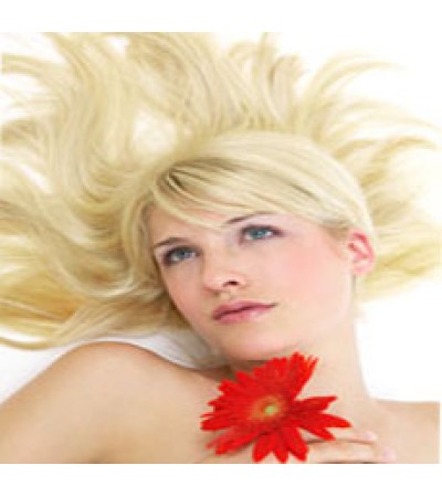 Close To Extremely Sexy Fragrance Oil (WOMEN)