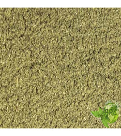 SKULLCAP HERB POWDER