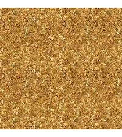 Apricot Shells Exfoliant