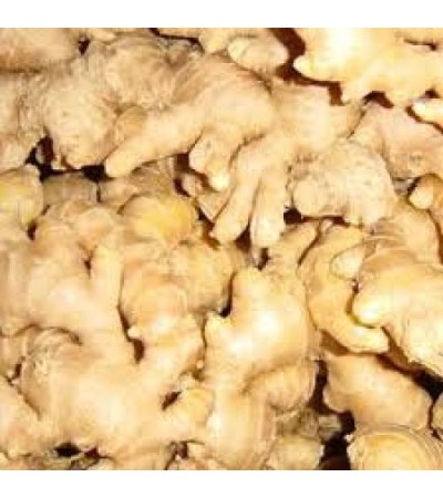Ginger Essential Oil (India) organic