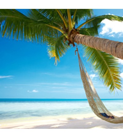 Beach Breeze Fragrant Oil