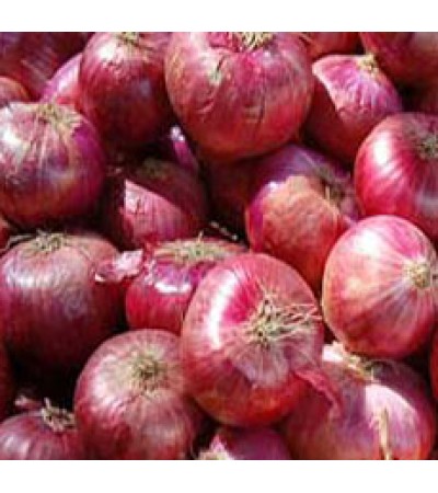 Onion Essential Oil