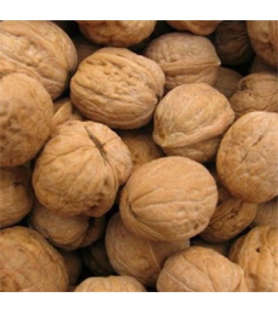 Walnut Husk Exfoliant