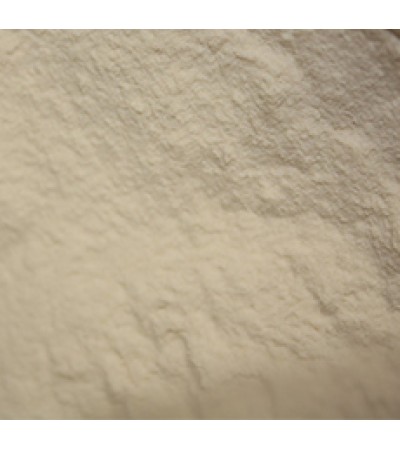XANTHAN GUM POWDER