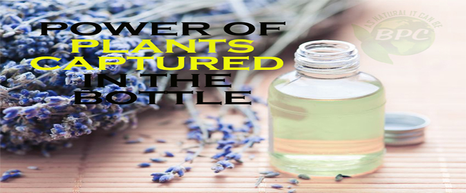 Natural Blend Oils