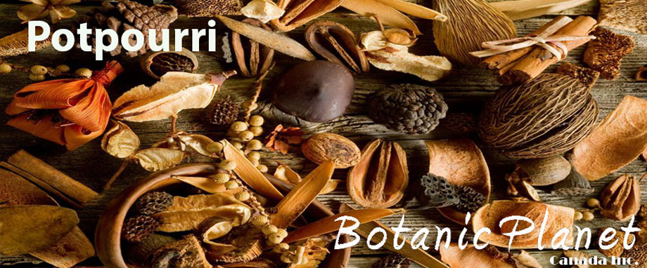 Potpourri