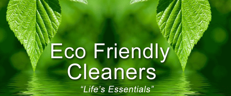 Eco Friendly Cleaners